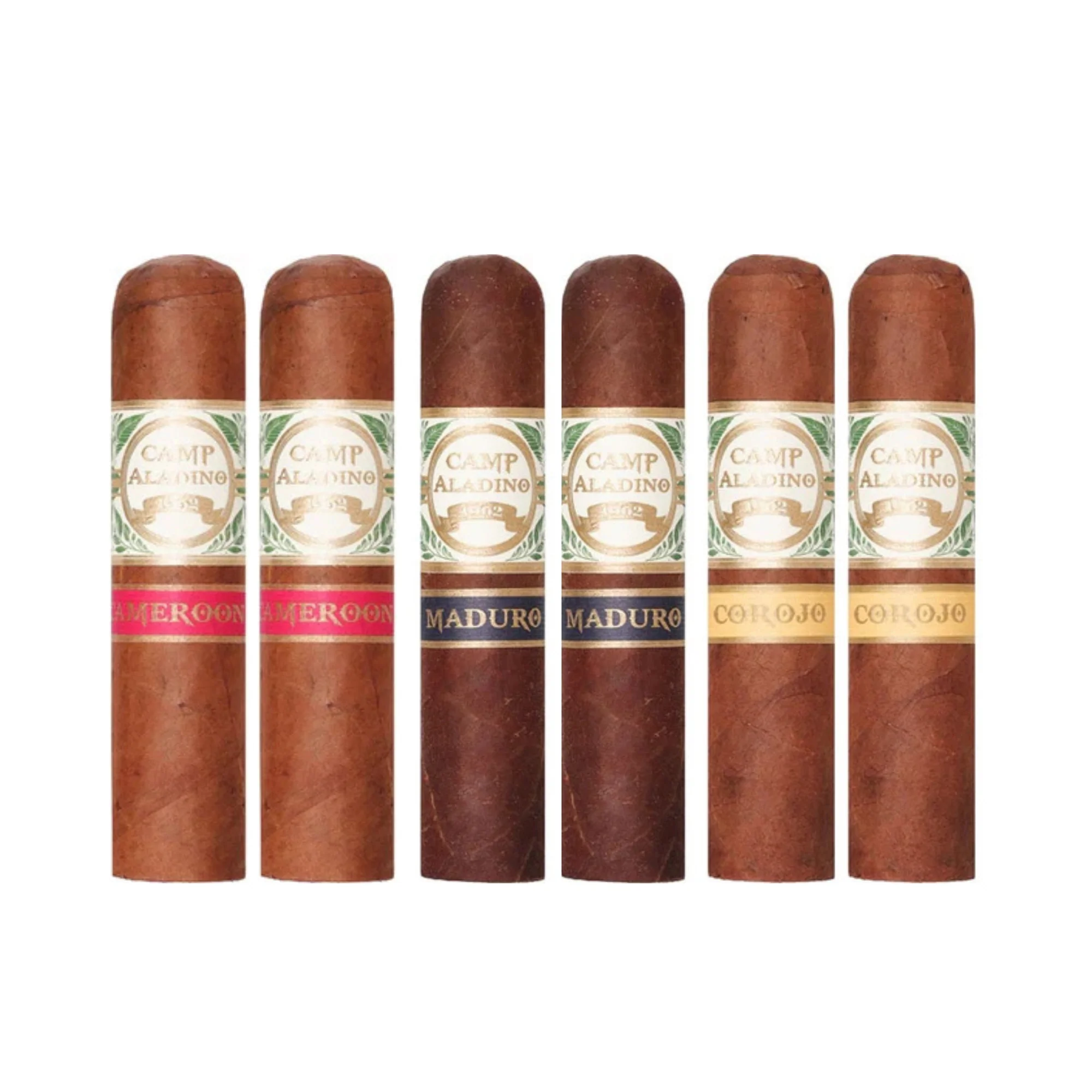 Aladino Gorbusto Bundle